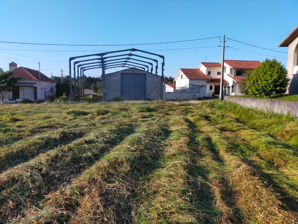 WhatsApp Image 2025-08-22 at 14.27.48